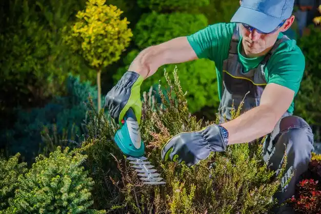 landscaping services Chester